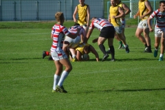 13730867_1139403336130822_2383220791060126652_o