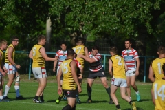 13738186_1139403532797469_6753033996861029910_o