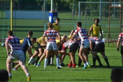 13767134_1139403319464157_2851358673287976635_o