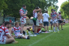 13909078_1139402692797553_3985204549080934620_o